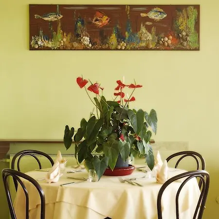 Bristol 3* لايقويليا